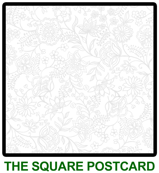 The Square Postcard | PRINTSHOP